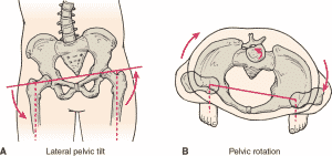 cicloshen slivellamento bacino