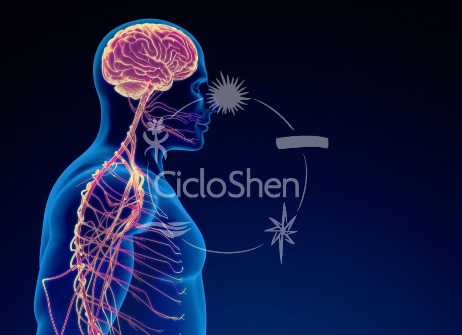 studio-ciclo-shen-nervo-vago-taopatch